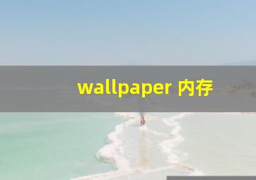 wallpaper 内存